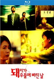 猪堕井的那天 海报