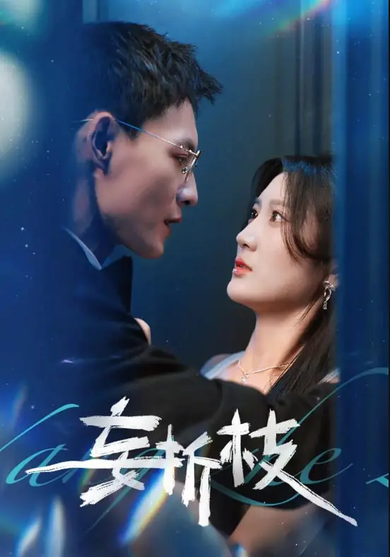 《妄折枝》：一段被权谋扭曲的绝美爱恋，命运的螺旋中谁能寻回初心？